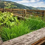 Brennergut Am Bauernhof
