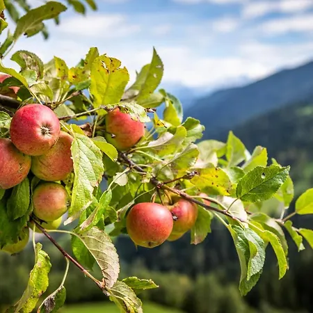 Brennergut Am Bauernhof *