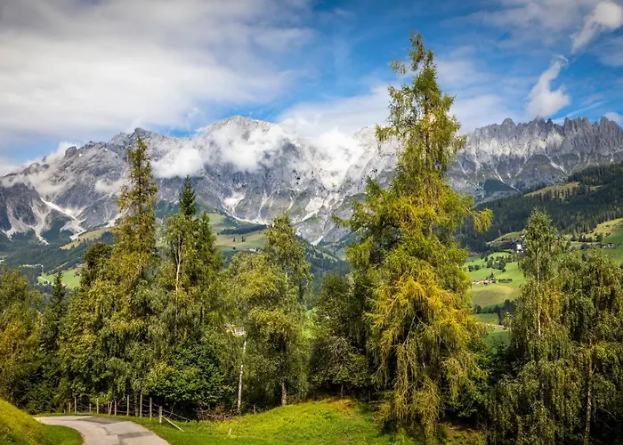 Brennergut Am Bauernhof Mühlbach am Hochkönig